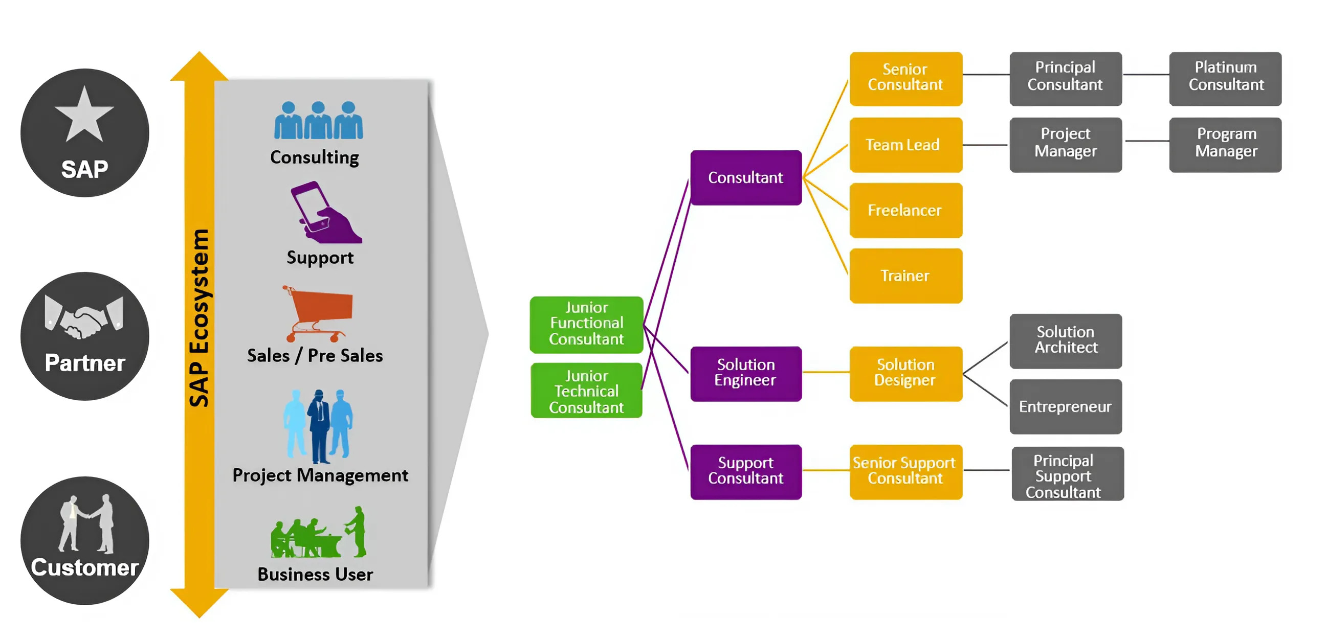 SAP ERP FlowChart