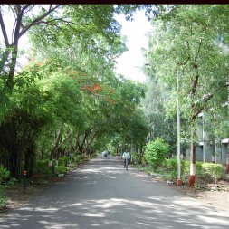 College Campus — 7