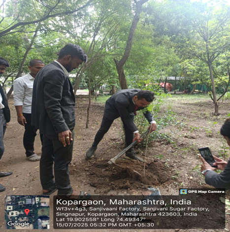 Tree Plantation